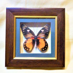 Amazing Artistic ~~~ BUTTERFLY ~~~